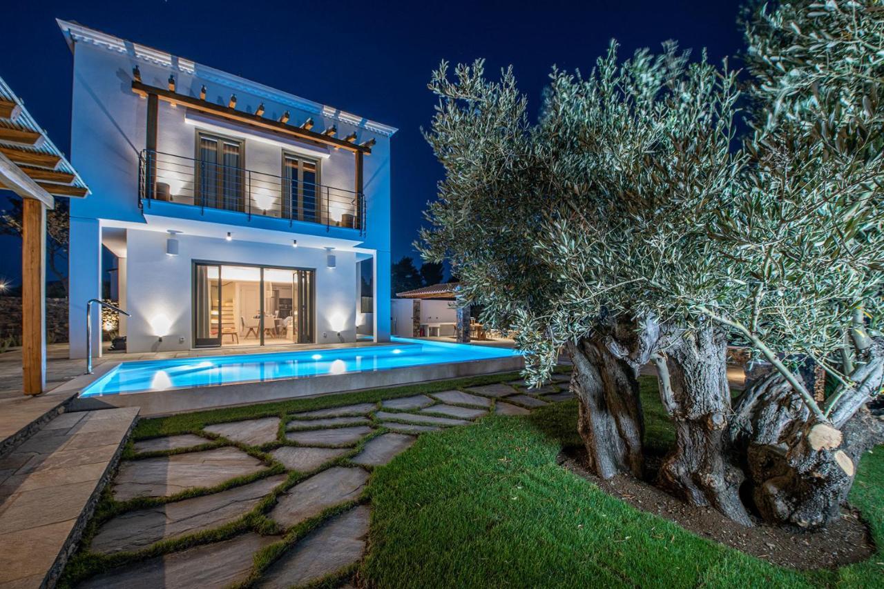 Stargaze Villas Panormos  المظهر الخارجي الصورة
